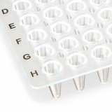 Globe Scientific PCR Plates